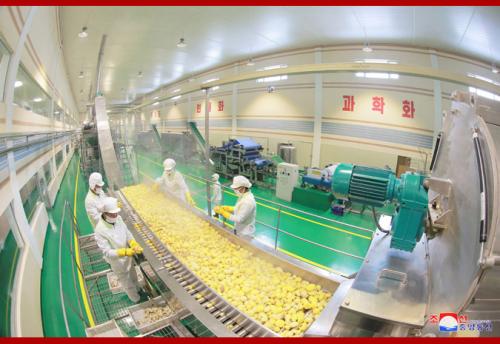 Samjiyon Potato Farina Production Factory