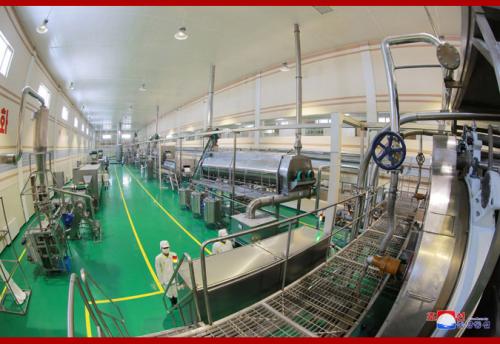 Samjiyon Potato Farina Production Factory