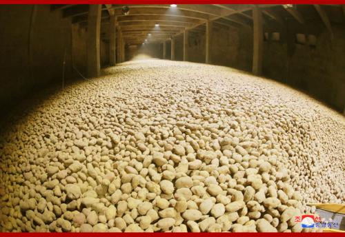 Samjiyon Potato Farina Production Factory