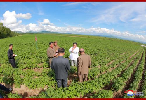 Kim Jong Un at Junghung Farm