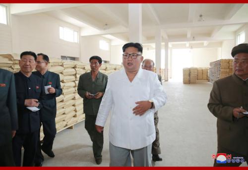 Kim Jong Un in Samjiyon