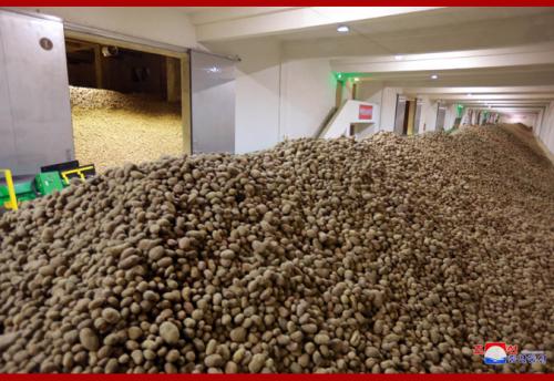 Samjiyon Potato Farina Factory